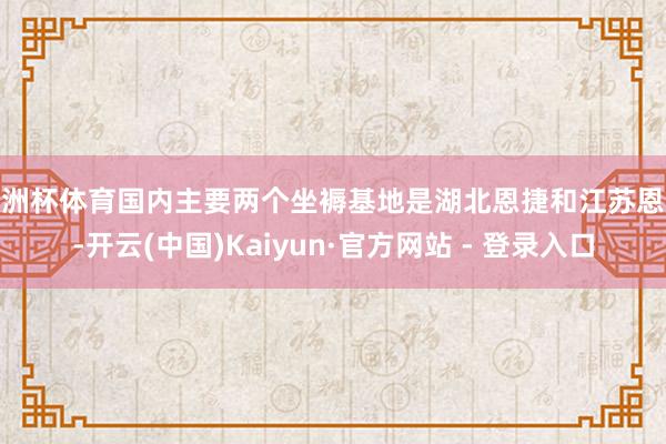 欧洲杯体育国内主要两个坐褥基地是湖北恩捷和江苏恩捷-开云(中国)Kaiyun·官方网站 - 登录入口