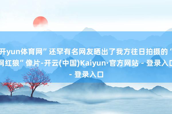 开yun体育网”还罕有名网友晒出了我方往日拍摄的“网红狼”像片-开云(中国)Kaiyun·官方网站 - 登录入口