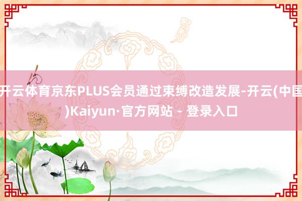 开云体育京东PLUS会员通过束缚改造发展-开云(中国)Kaiyun·官方网站 - 登录入口
