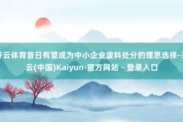 开云体育昔日有望成为中小企业废料处分的理思选择-开云(中国)Kaiyun·官方网站 - 登录入口