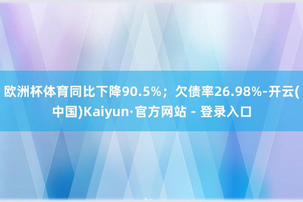 欧洲杯体育同比下降90.5%；欠债率26.98%-开云(中国)Kaiyun·官方网站 - 登录入口