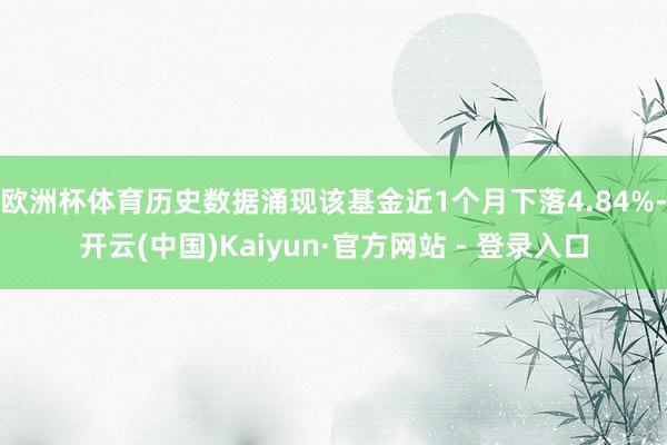 欧洲杯体育历史数据涌现该基金近1个月下落4.84%-开云(中国)Kaiyun·官方网站 - 登录入口