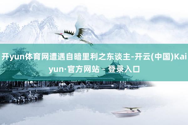 开yun体育网遭遇自暗里利之东谈主-开云(中国)Kaiyun·官方网站 - 登录入口